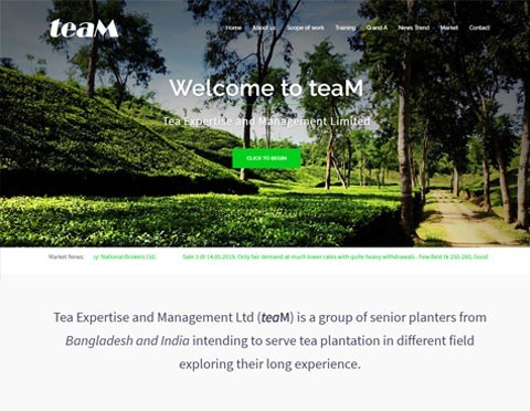 Tea Expertise and Management Ltd (teaM)